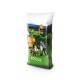 Tuttoprato - Seeds for lawn of 1 Kg