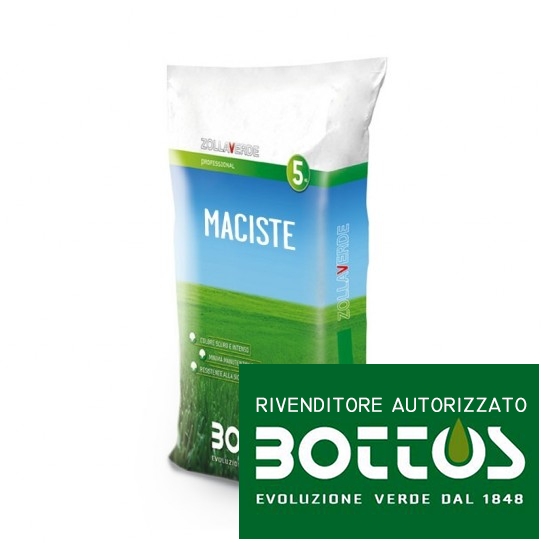 Maciste - Seeds for lawn of 5 Kg