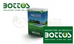 Maciste - Seeds for lawn of 1 Kg