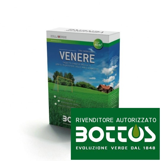 Venere - Seeds for lawn of 1 Kg