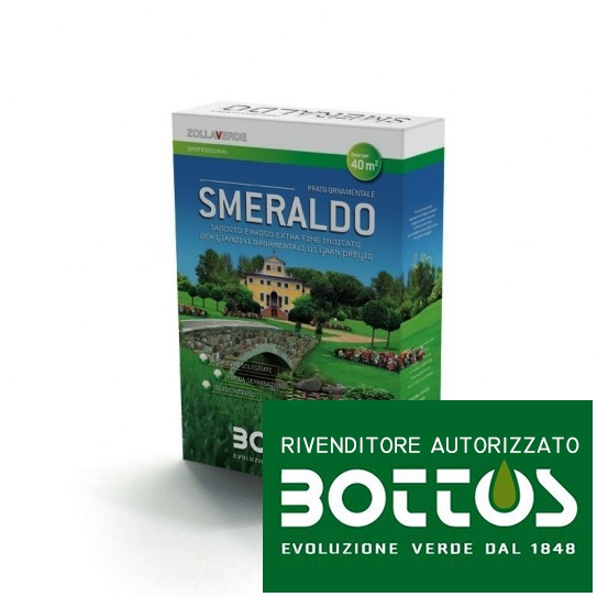 Emerald - Seeds for lawn of 1 Kg
