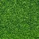 5 square meters of lawn that is ready in rolls