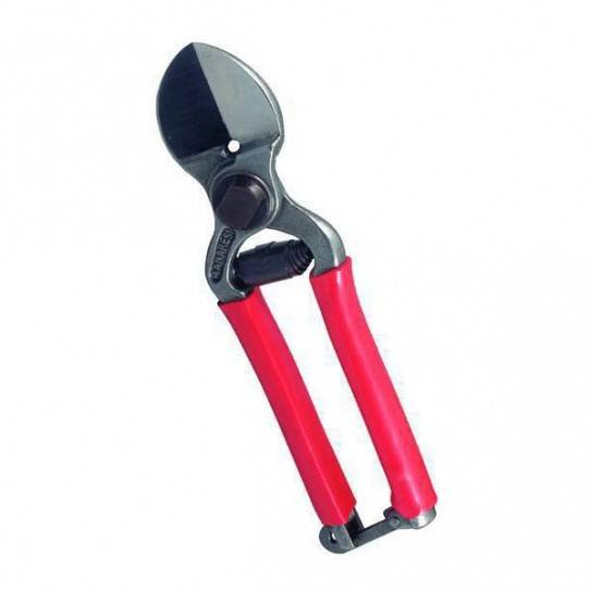 Sichel 21 - Scissor for pruning, double-edged