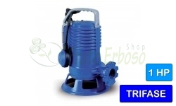 100/2/G40H A1CTG - Pumpe trituratrice drehstrom
