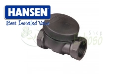 CV25 - non-return Valve made of synthetic resin by 1"