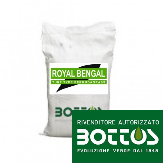 Royal Bengal graingrass - Semințe pentru gazon de 5 Kg
