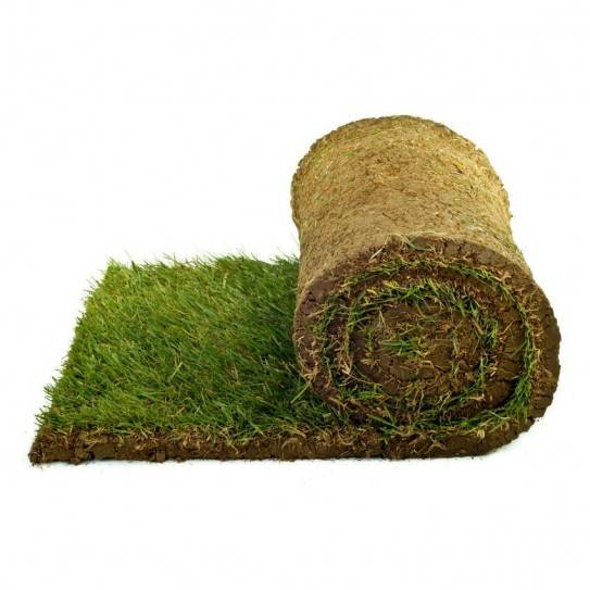 5 square meters of lawn that is ready in rolls