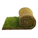 20 square meters of lawn that is ready in rolls