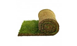 80 square meters of lawn that is ready in rolls