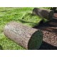 200 square meters of lawn ready in rolls