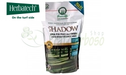 Schatten - Rasensamen im Schatten 1,2 kg