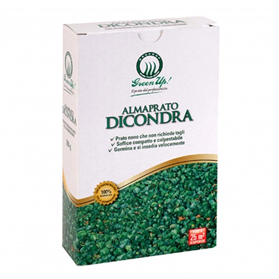 Almaprato Dicondra - Ground cover lawn seeds of 250 Gr