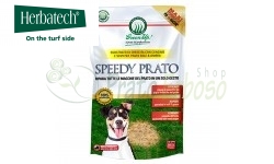 Speedy Prato - Graines pour la régénération de la pelouse de 1,5 Kg