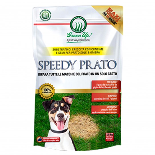 Speedy Prato - Seeds for lawn regeneration of 1.5 Kg