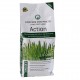 Action - Fertilizzante per tutte le stagioni con Zeolite da 4 Kg