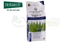Vigor Plus - Fertilizzante antistress estivo e invernale con Zeolite da 4 Kg