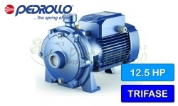 2CP 40/200B - centrifugal electric Pump twin-impeller three-phase
